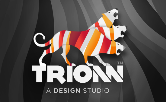  Trionn Design